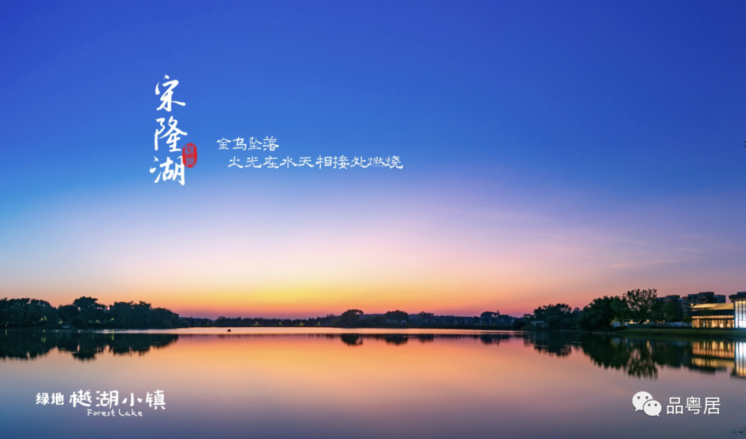 绿地樾湖小镇(图14)